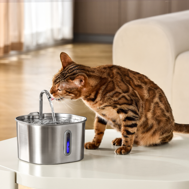 Health And Happiness Cat Set