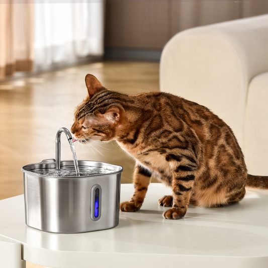 Health And Happiness Cat Set