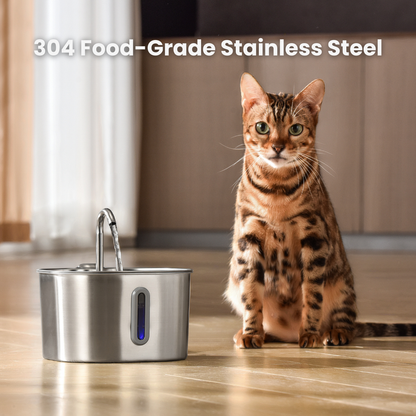 Health And Happiness Cat Set
